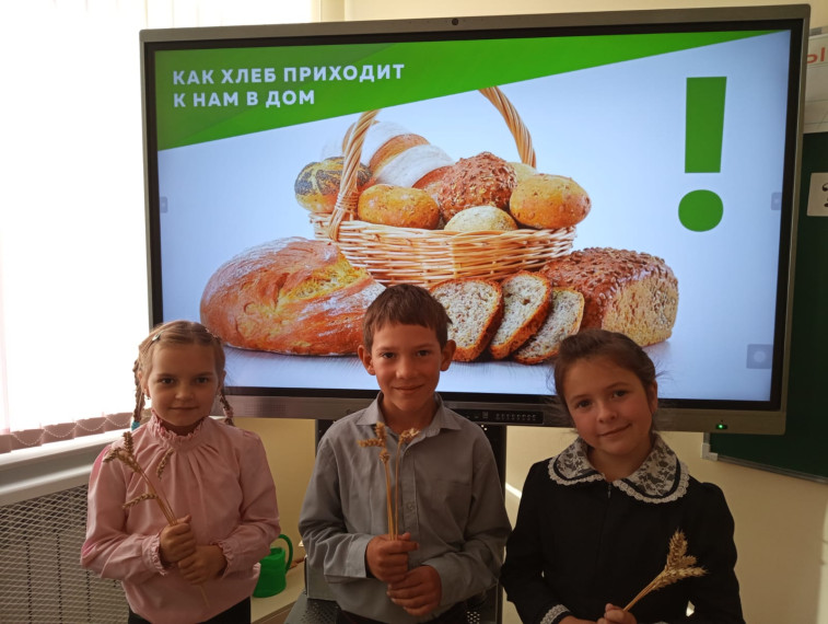 Эколята.